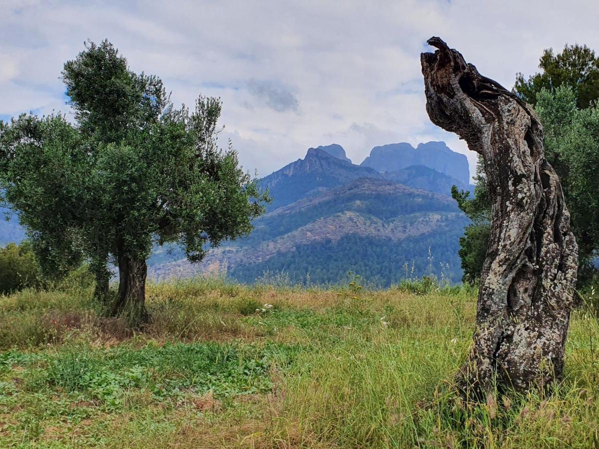 Apartamentos La Venta Del Rome Horta de Sant Joan Exteriér fotografie